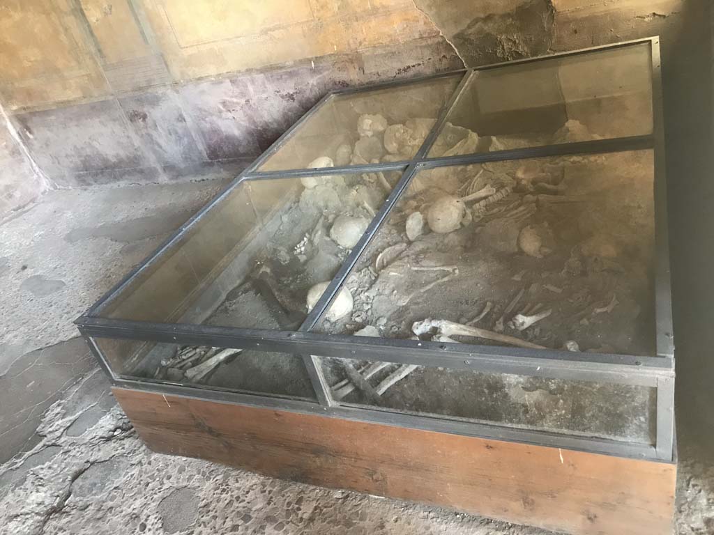 I.10.4 Pompeii. April 2019. Room 19, looking south across glass display case. 
Photo courtesy of Rick Bauer.
