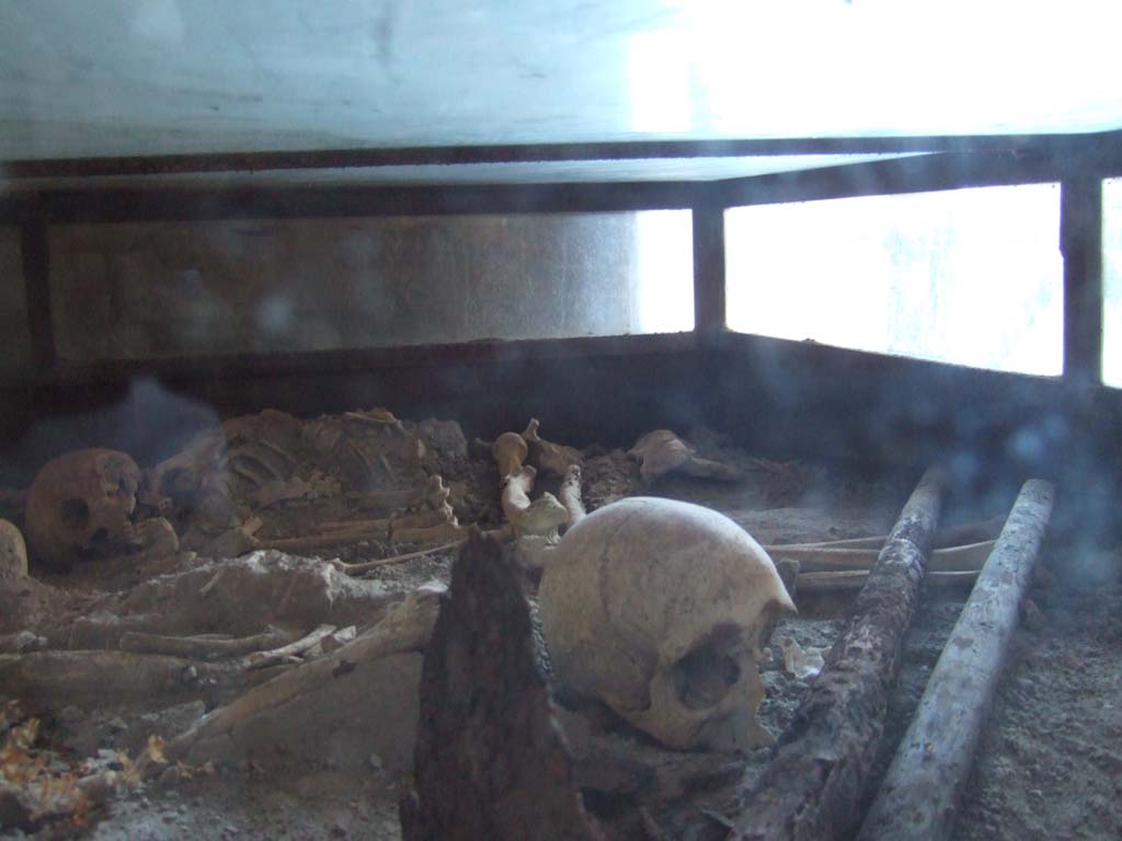 I.10.4 Pompeii. May 2006. Room 19, skeletons, pickaxe, and mattock in glass case, with restored wooden handles.