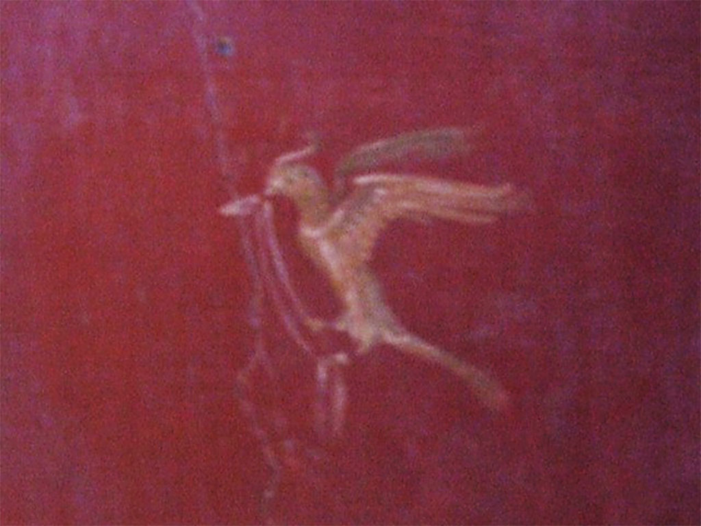 I.10.11 Pompeii. March 2009. Room 9, south end of east wall of cubiculum. Painting of a bird with a ribbon in its beak.  
See Bragantini, de Vos, Badoni, 1981. Pitture e Pavimenti di Pompei, Parte 1. Rome: ICCD. (p.141).
