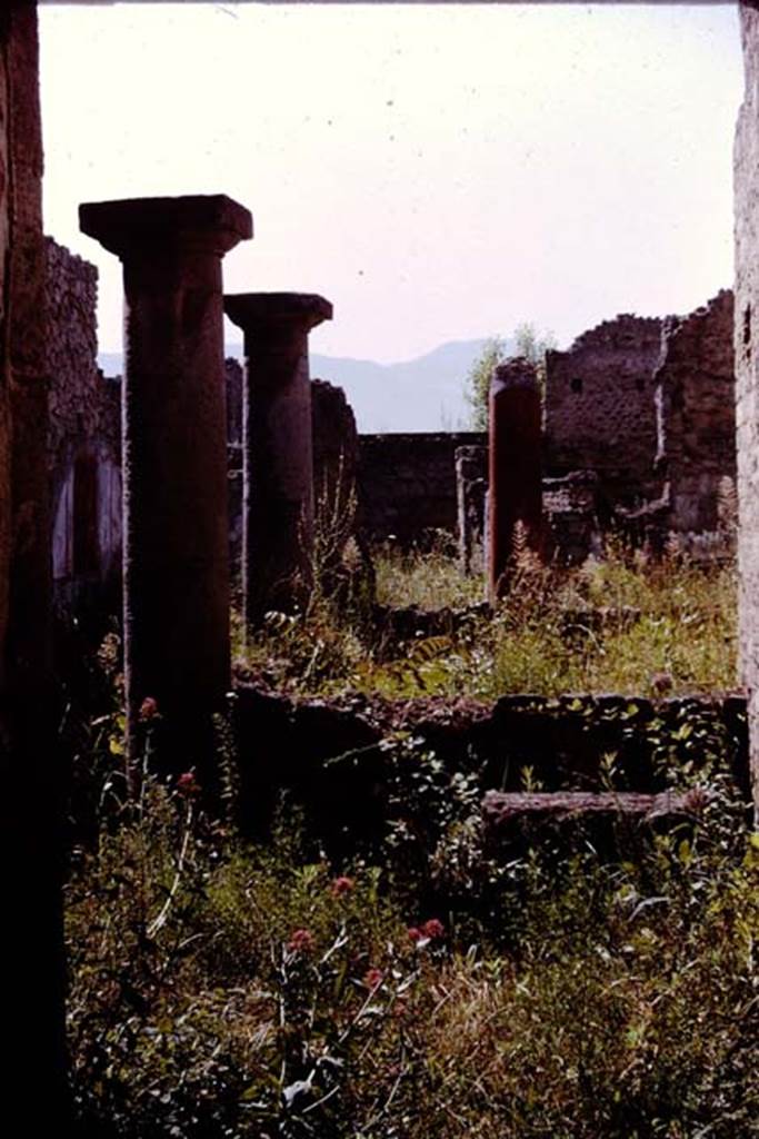 I.13.1 Pompeii. 1964. Looking south from entrance corridor. Photo by Stanley A. Jashemski.
Source: The Wilhelmina and Stanley A. Jashemski archive in the University of Maryland Library, Special Collections (See collection page) and made available under the Creative Commons Attribution-Non Commercial License v.4. See Licence and use details.
J64f1079

