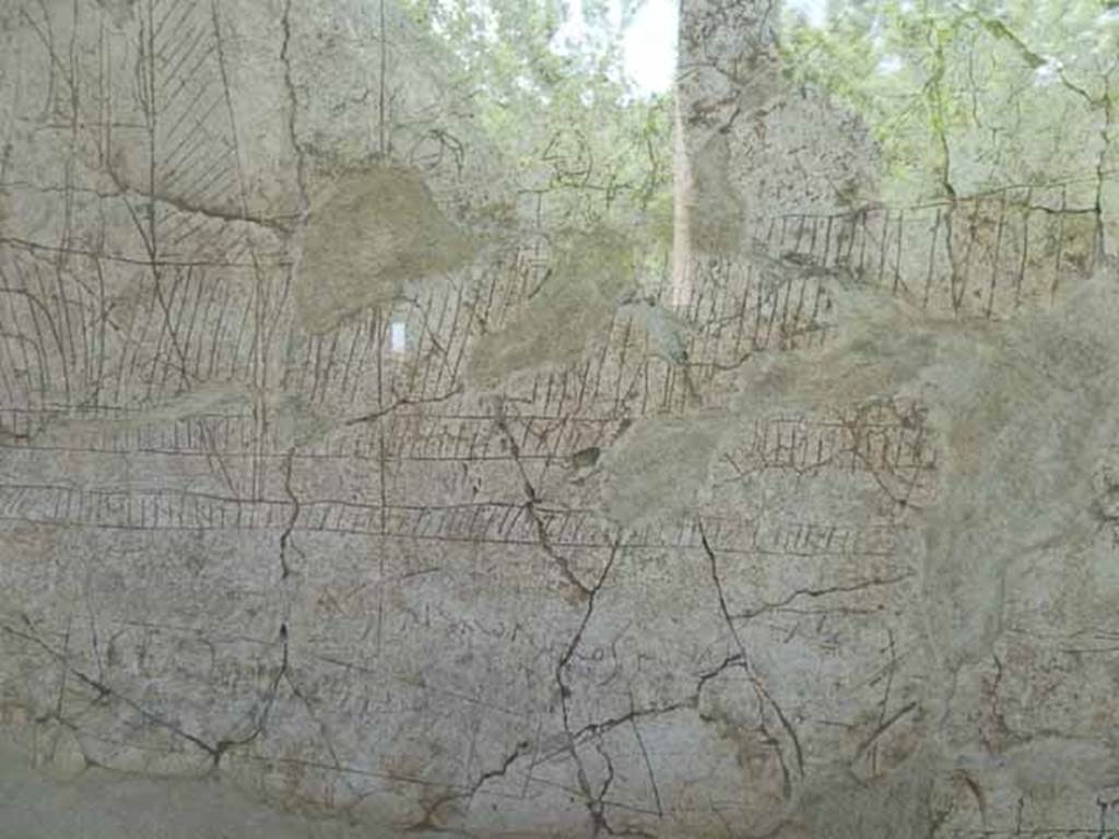 I.15.3 Pompeii. May 2010. North wall of portico 10. Ship Europa.