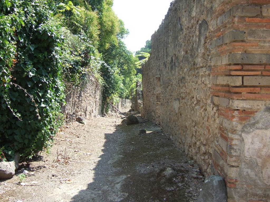 I.19.1 Pompeii, (side wall). September 2005. Roadway looking south.     I.2