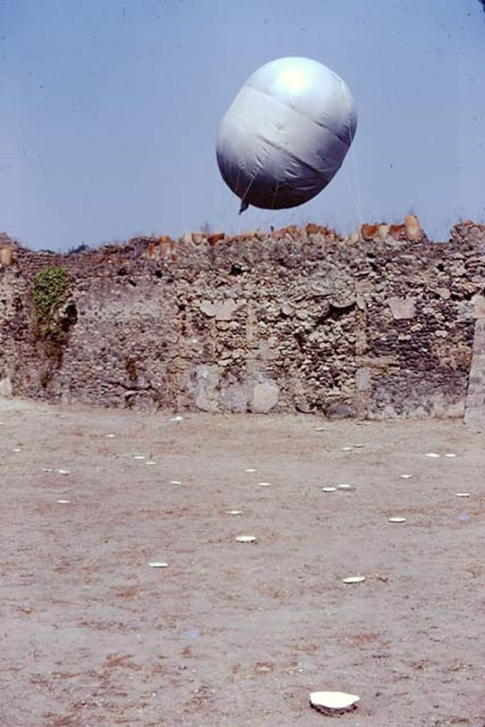 I.20.5 Pompeii. 1974. Looking across painted wooden discs identifying the root cavities, towards the north wall. The balloon was outside the wall in the Via della Palestra. Photo by Stanley A. Jashemski.   
Source: The Wilhelmina and Stanley A. Jashemski archive in the University of Maryland Library, Special Collections (See collection page) and made available under the Creative Commons Attribution-Non Commercial License v.4. See Licence and use details. J74f0441
