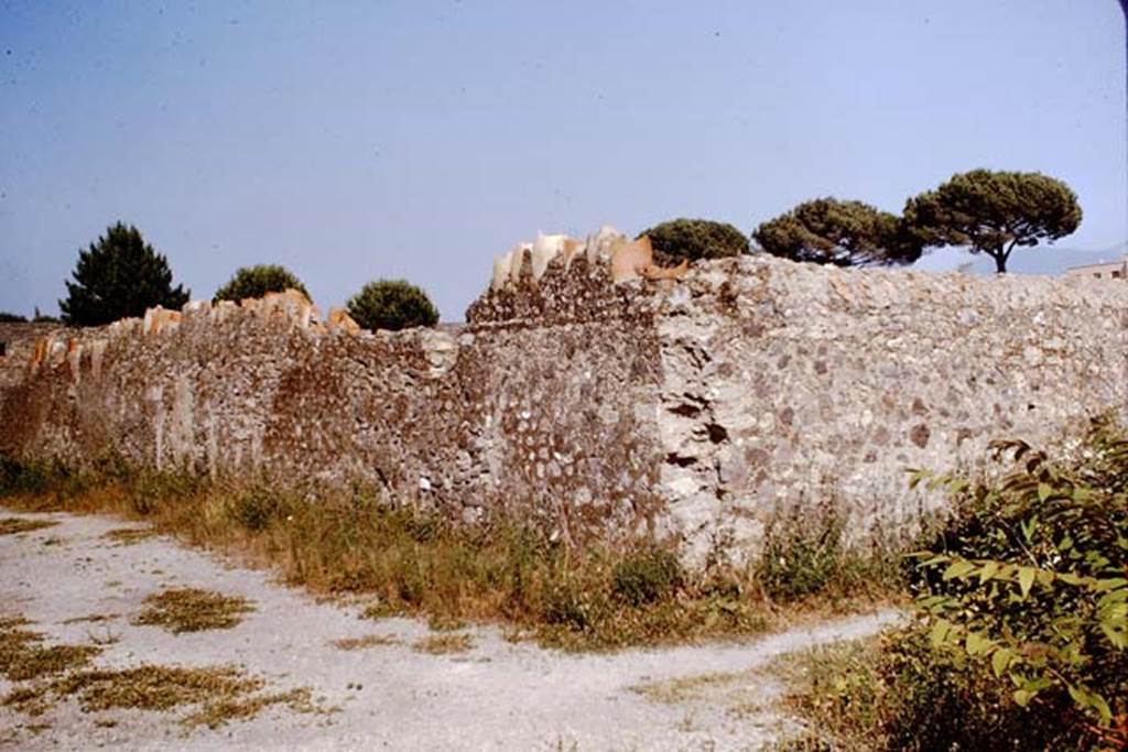 I.20.5 Pompeii. 1964. Exterior north wall, embedded with broken amphorae to protect the garden from thieves. Photo by Stanley A. Jashemski.
Source: The Wilhelmina and Stanley A. Jashemski archive in the University of Maryland Library, Special Collections (See collection page) and made available under the Creative Commons Attribution-Non Commercial License v.4. See Licence and use details.
J64f1721
