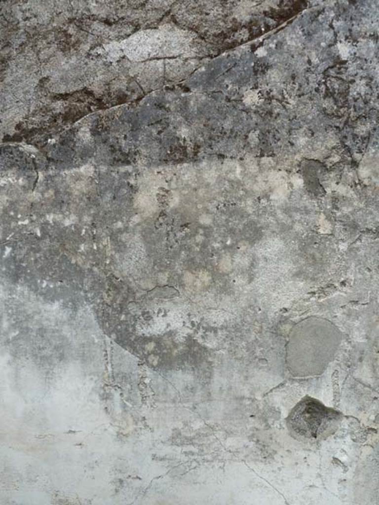 I.21.2 Pompeii. September 2015. Detail from east wall.