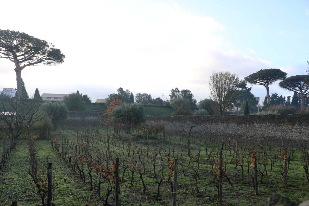 I.21.2/6 Pompeii. December 2018. Looking south-west across Fugitives Garden. Photo courtesy of Aude Durand.