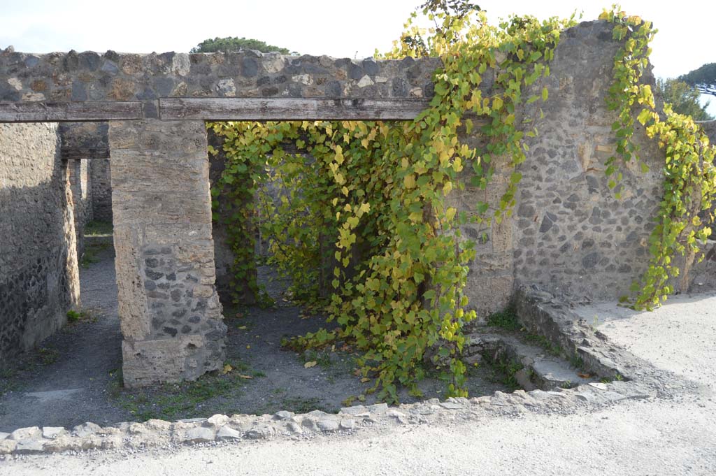 I.21.5 on left, and I.21.4, on right, Pompeii. October 2017. Looking south to entrance doorways on Via della Palestra.
Foto Taylor Lauritsen, ERC Grant 681269 DÉCOR.
