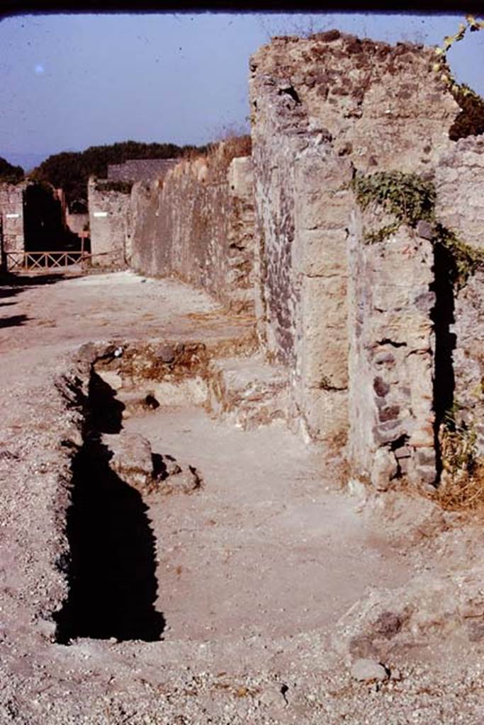 I.21.4 Pompeii, on right. 1974. Looking east along Via della Palestra. Photo by Stanley A. Jashemski.   
Source: The Wilhelmina and Stanley A. Jashemski archive in the University of Maryland Library, Special Collections (See collection page) and made available under the Creative Commons Attribution-Non Commercial License v.4. See Licence and use details. J74f0686
