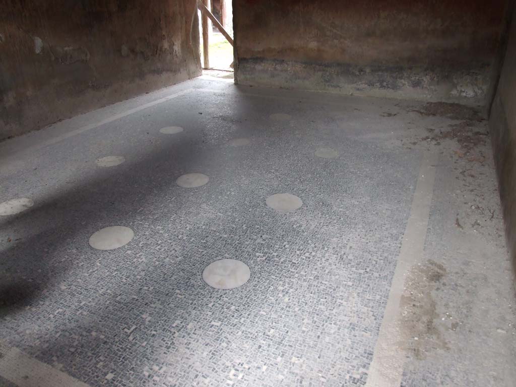 II.4.6 Pompeii. December 2006. Frigidarium/apodyterium black and white mosaic floor with 12 marble medallions inserts. 