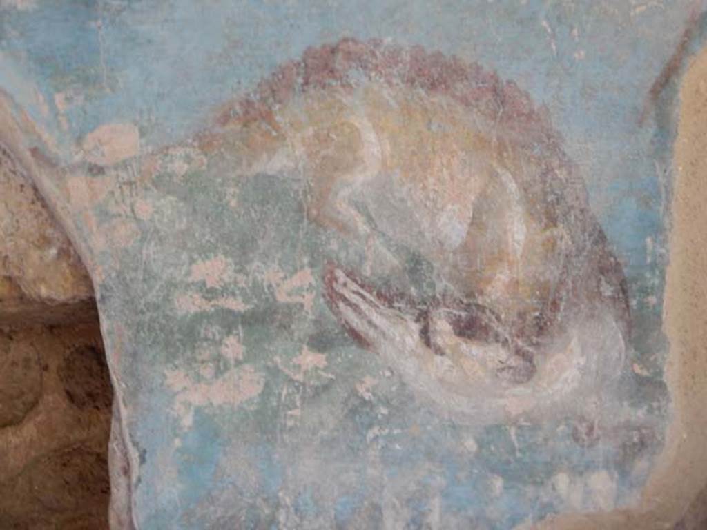 II.4.6 Pompeii. May 2016. North wall, with remains of painted decoration showing a crocodile. Photo courtesy of Buzz Ferebee.
