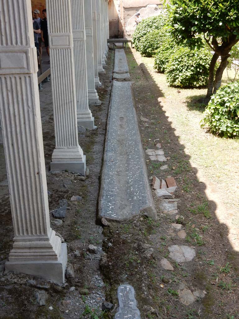 II.4.6 Pompeii. June 2019. Looking north along portico gutter in garden area.
Photo courtesy of Buzz Ferebee.
