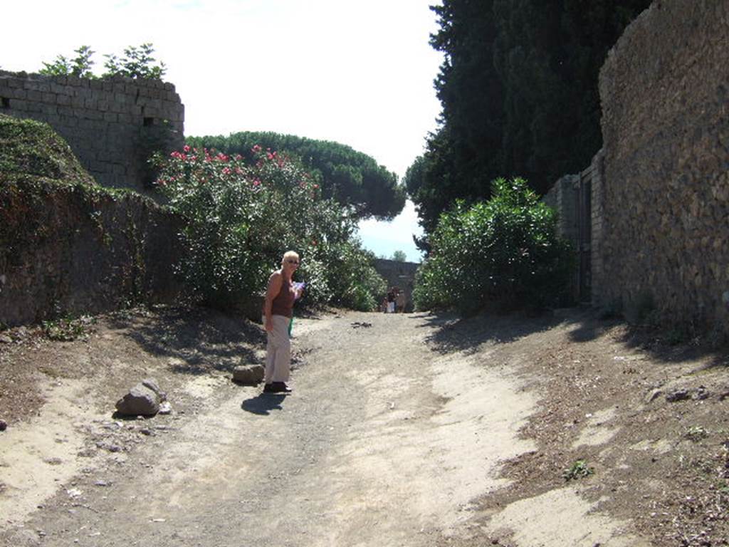 II.5 Pompeii, on left. September 2005. Vicolo dellAnfiteatro looking south near II.4.8, on right.
