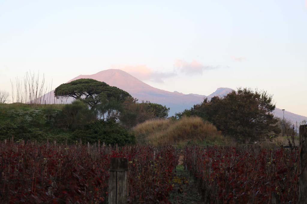 II.5.5 Pompeii. December 2018. Looking north towards Vesuvius from II.5.5. Photo courtesy of Aude Durand.