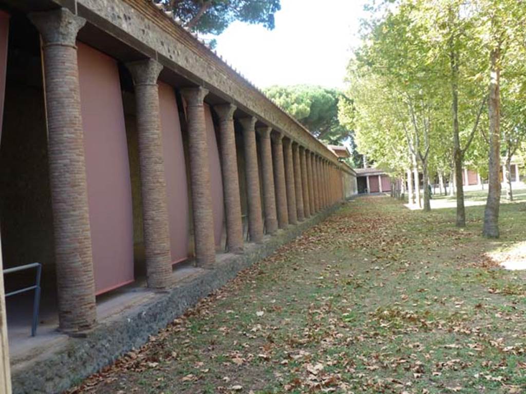 II.7.1 Pompeii. Palaestra. September 2015. Looking north along the interior west side.