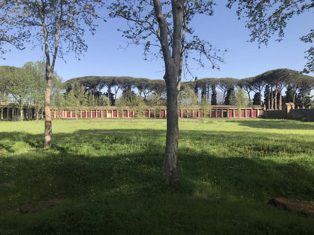 II.7.1 Pompeii. Palaestra. April 2019. Looking north towards Vesuvius, in distance behind trees. 
Photo courtesy of Rick Bauer.
