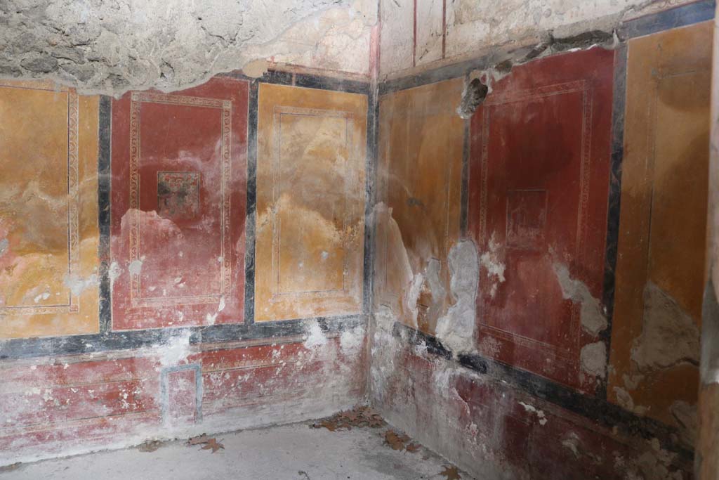 II.8.6 Pompeii. December 2018. 
Painted decoration on north (rear) and east (right) wall of room with painted walls. Photo courtesy of Aude Durand.


