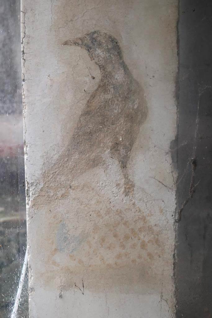 II.9.1 Pompeii.  December 2018.  
Detail of black bird from east side of column on the north side of the triclinium. Photo courtesy of Aude Durand.
