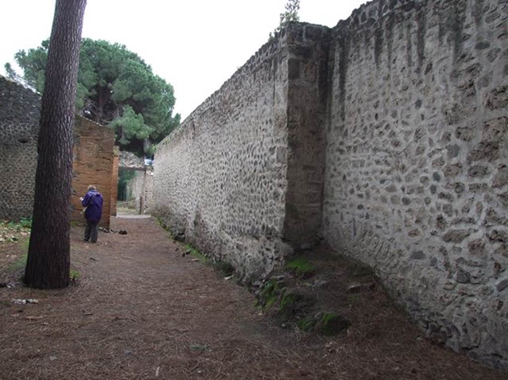II.9.3 Pompeii, on right. December 2006. Exterior rear wall of II.9.3, in small vicolo on west side of Palaestra

