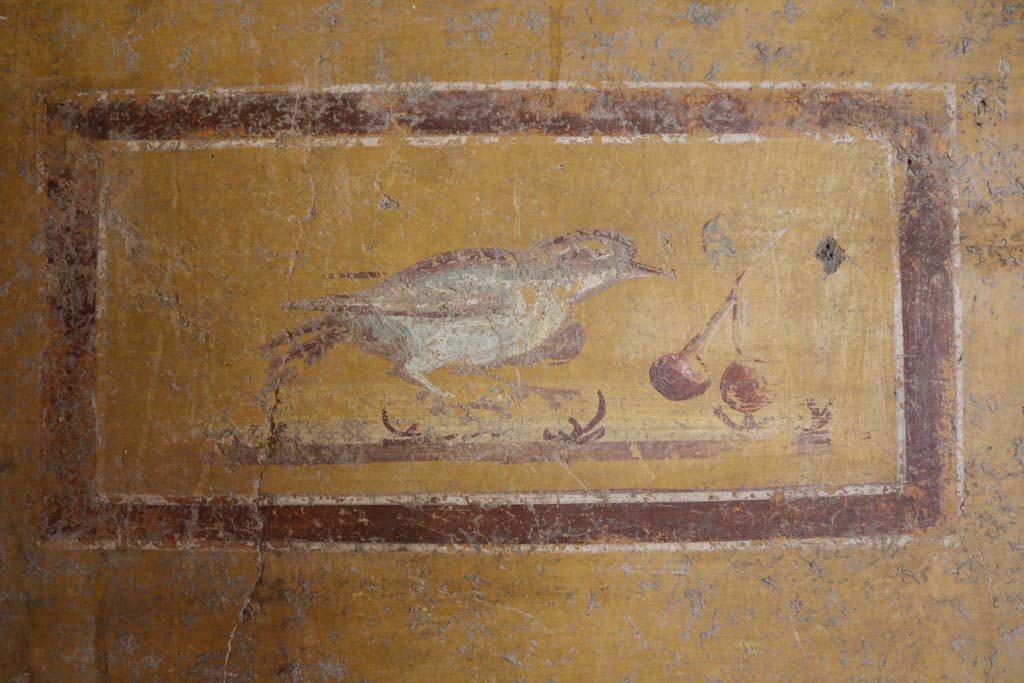 II.9.4 Pompeii. December 2018. 
Room 8, painted panel with bird and cherries from south end of west wall. Photo courtesy of Aude Durand.
