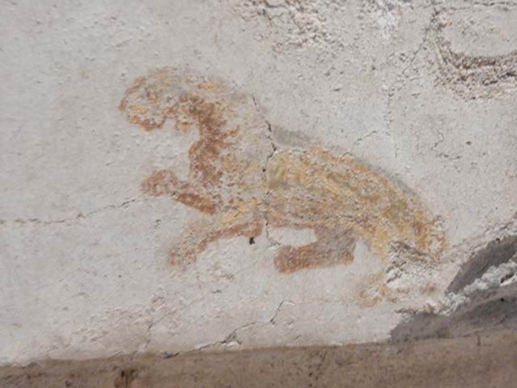 II.9.4 Pompeii. May 2018. Room 4, north wall, detail of panther from centre of panel. Photo courtesy of Buzz Ferebee. 