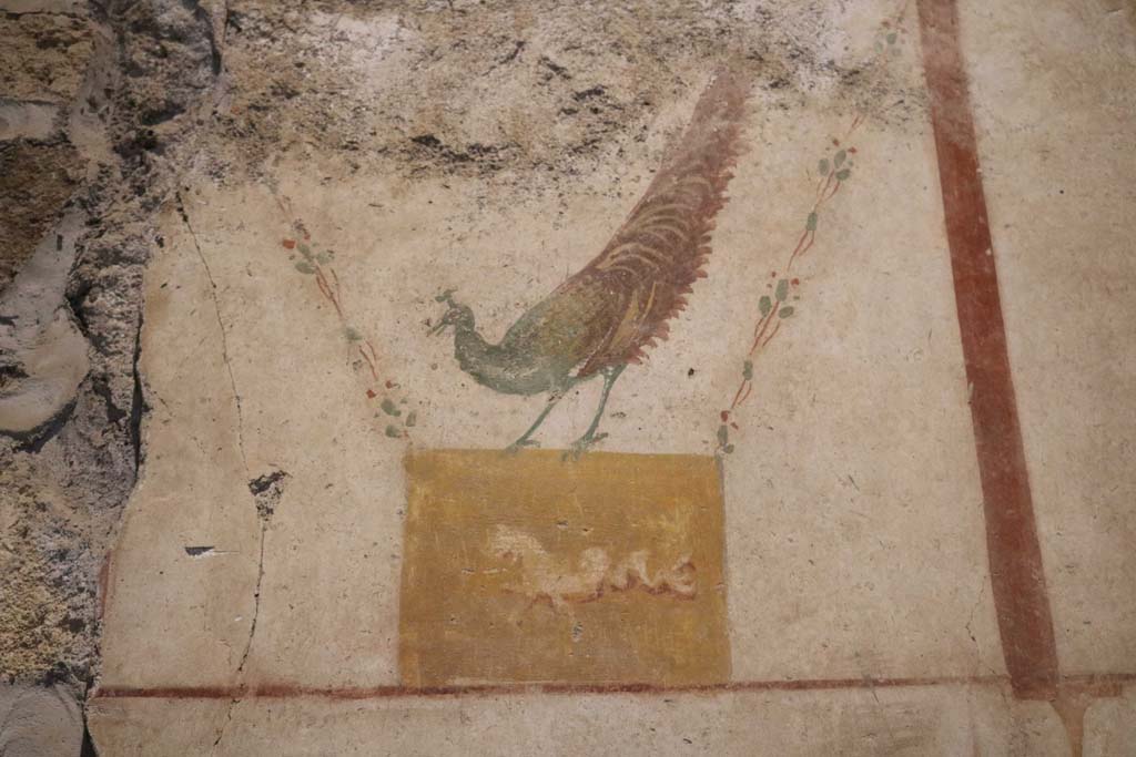 II.9.4 Pompeii. December 2018. Room 4, detail of painted peacock from centre of upper east wall. Photo courtesy of Aude Durand.