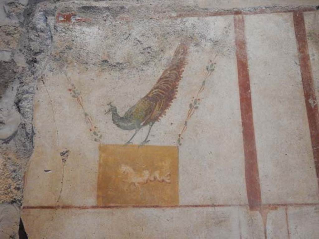 II.9.4, Pompeii. May 2018. Room 4, painted peacock from east wall. Photo courtesy of Buzz Ferebee. 

