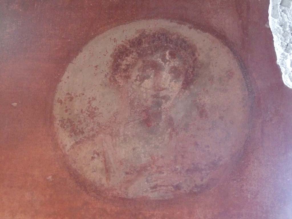 V.1.26 Pompeii. March 2009. Room “o”, triclinium. Painted portrait medallion with feminine face, in south-east corner.
See Schefold, K., 1962. Vergessenes Pompeji. Bern: Francke. (p.212, fig 180,3)


