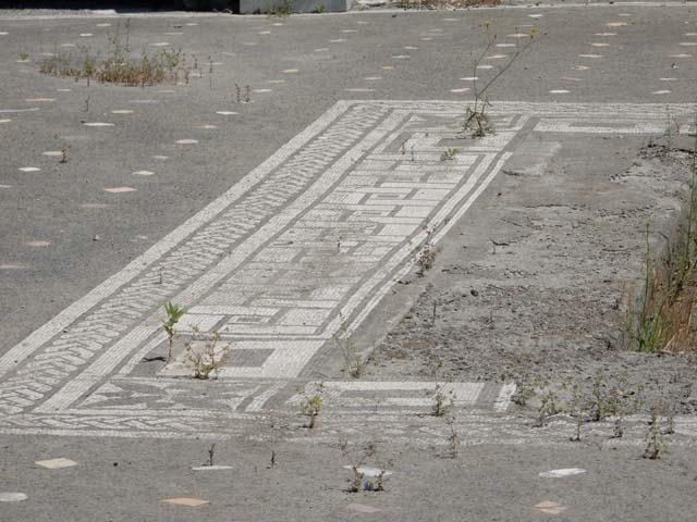 V.1.26 Pompeii. May 2017. Looking east across flooring in atrium, towards impluvium.
Photo courtesy of Buzz Ferebee.
