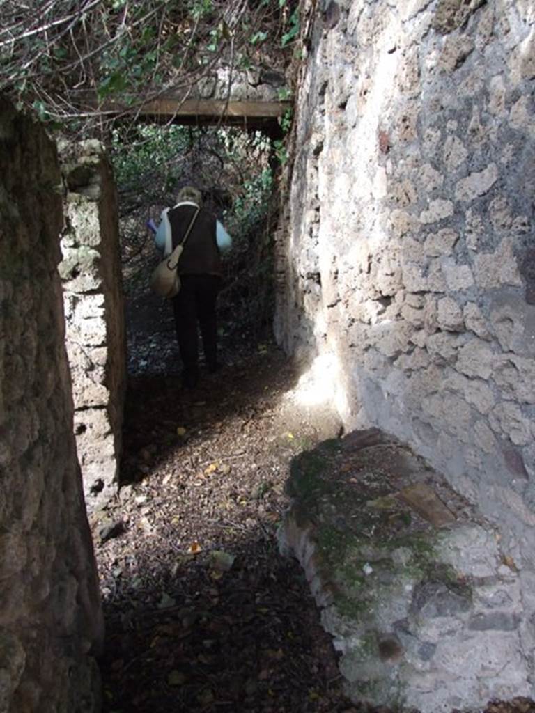 V.2.15 Pompeii. December 2007. Looking north along corridor, 11a. On the left is the doorway to room 11b.   
Following the 2018 excavations at the rear of where the figure is standing is now considered to be the Casa di Orione with a separate entrance from the Vicolo dei Balconi. 
It is considered to be one house with two entrances and two names.
