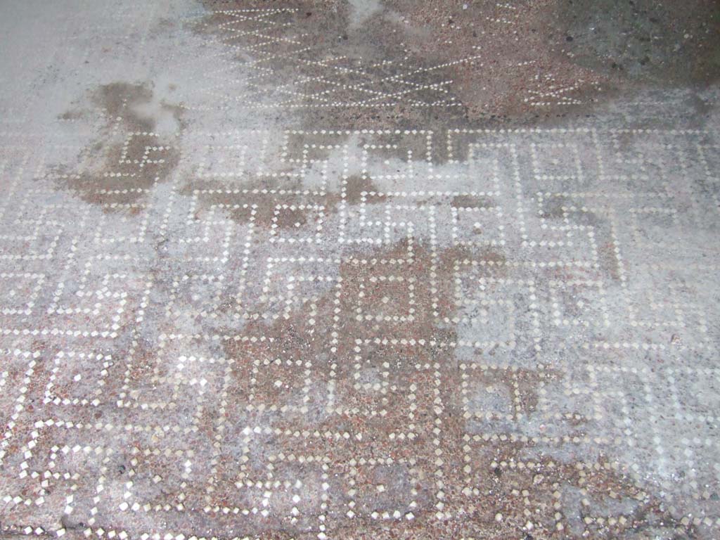 V.2.h Pompeii. December 2005. Room ‘f’, decorated floor of tablinum, with geometric pattern and net design. Looking south.