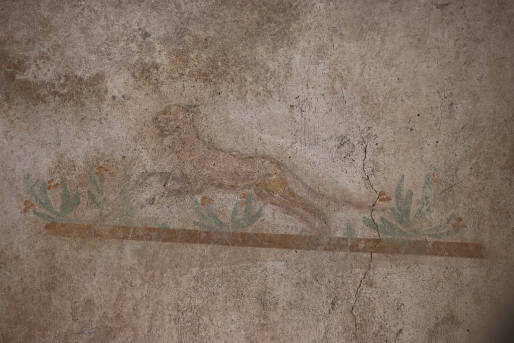 V.2.Pompeii. Casa di Orione. September 2021. 
Painted decoration of Leopard, from west side of south wall in room A3. Photo courtesy of Klaus Heese.
