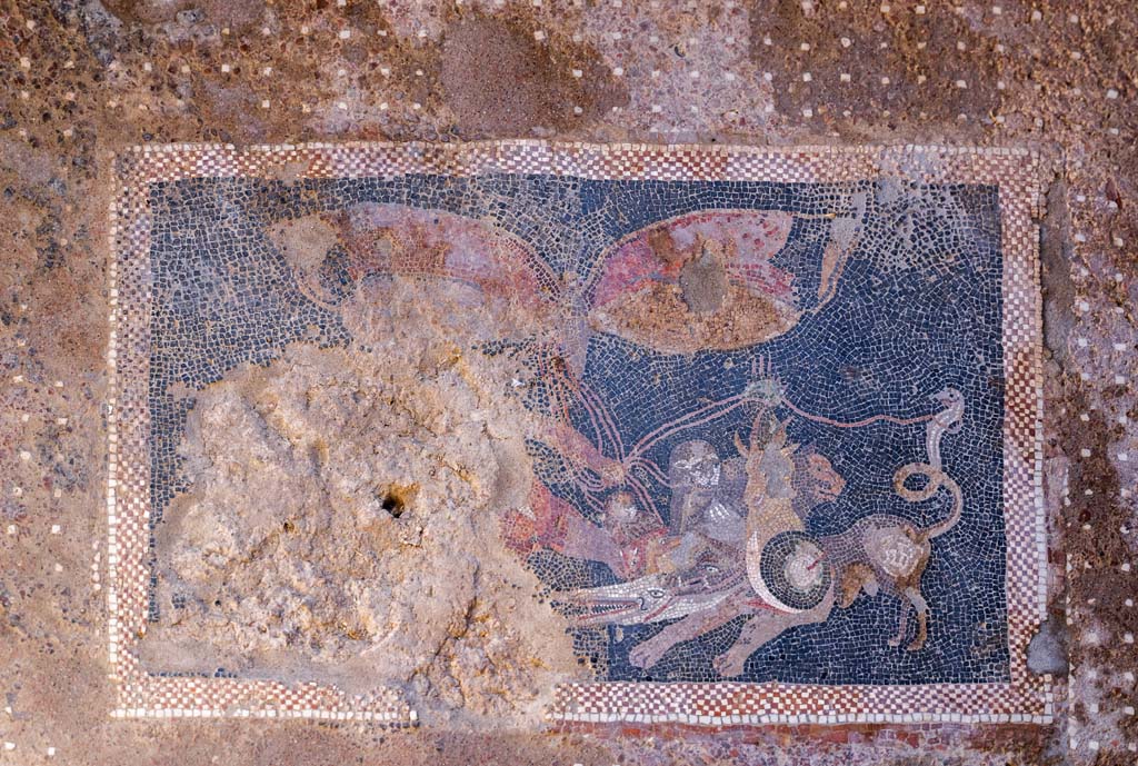 V.2 Pompeii. Casa di Orione. April 2022. Room 6, floor mosaic with panther. Photo courtesy of Johannes Eber.