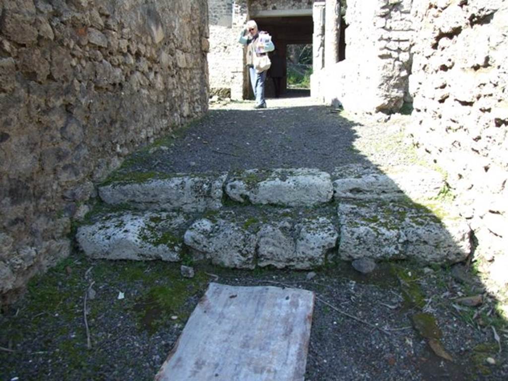 V.3.4 Pompeii. March 2009. Two limestone block steps in entrance corridor leading to west portico at the rear. According to Sogliano, when excavated this corridor had walls decorated with painted plaster showing - large panels with black background, frieze with white background and the low base of the wall painted red. In the centre of each of the first two panels on the left, west side, were a bird with black background in a green frame. In the centre of two other panels preserved on this same side, a flying swan and flying deer could be seen. The panels were separated by yellow decorated stripes. On the right, east side, the only one well-preserved panel showed a flying swan. See Notizie degli Scavi di Antichità, 1905, (p.205)

