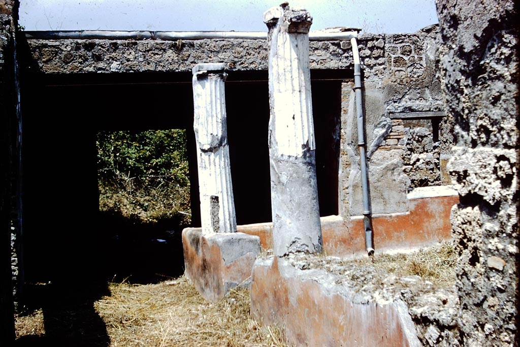 V.3.4 Pompeii. 1961. Looking north-east across portico area. Photo by Stanley A. Jashemski.
Source: The Wilhelmina and Stanley A. Jashemski archive in the University of Maryland Library, Special Collections (See collection page) and made available under the Creative Commons Attribution-Non Commercial License v.4. See Licence and use details.
J61f0853  
According to Wilhelmina, the low wall around the garden had an entrance in the west wall, which was approximately 0.80m high.
It was decorated with plants and flying birds painted on a red background.
See Jashemski, W. F., 1993. The Gardens of Pompeii, Volume II: Appendices. New York: Caratzas. (p.114).
