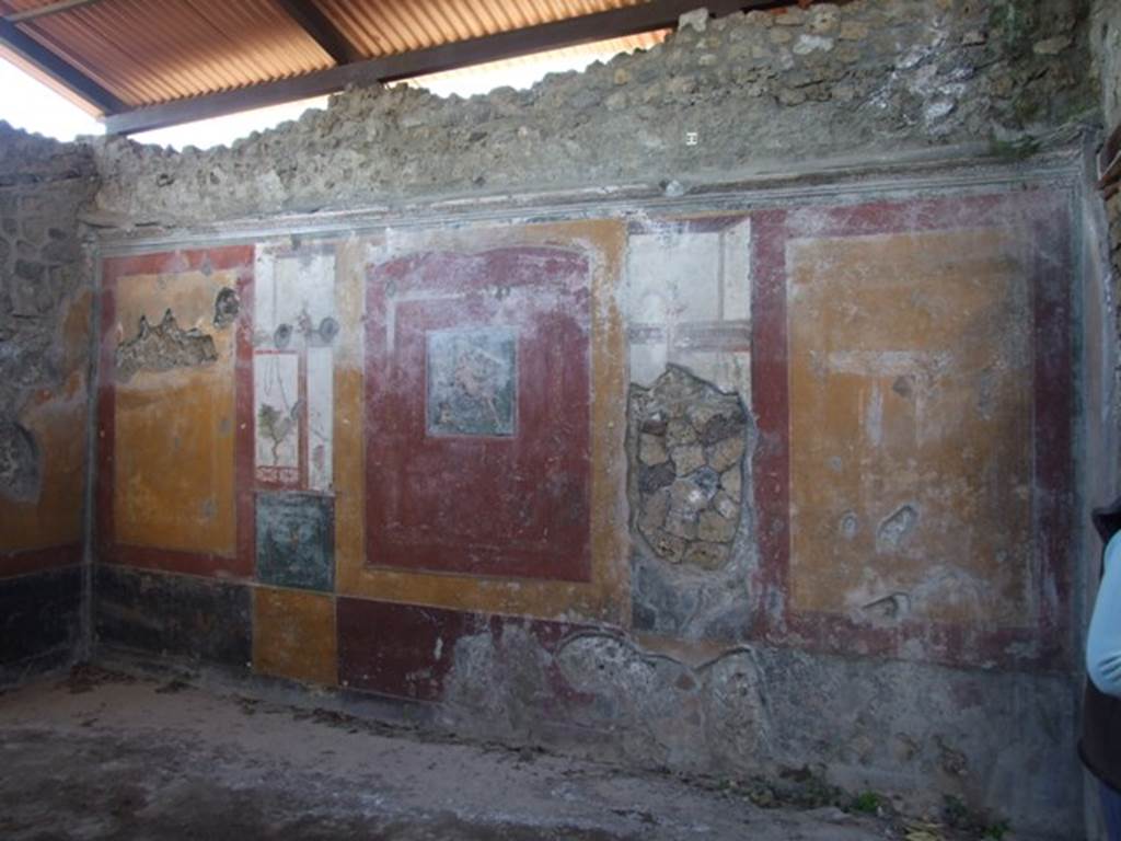 V.3.6 Pompeii. March 2009. Triclinium.  West wall.