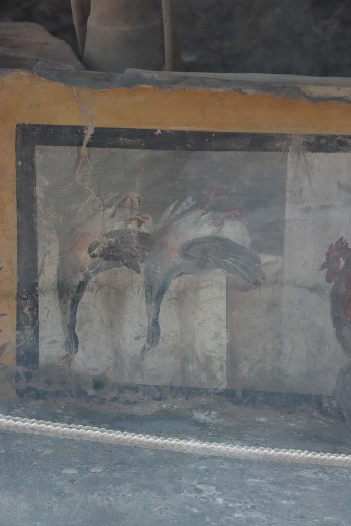 V.3 Pompeii, Thermopolium with painting of nereid. September 2021. 
Detail of painted dead birds on west side of counter in bar-room. Photo courtesy of Klaus Heese.

V.3 Pompeii, Thermopolium with painting of nereid. September 2021. 
Detail of painted dead ducks on west side of counter in bar-room. Photo courtesy of Klaus Heese.

