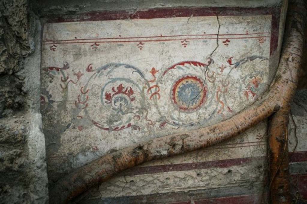 V.7.1 Pompeii. April 2018. Western room, west wall, decorated with spiral girali designs.
Photograph © Parco Archeologico di Pompei.


