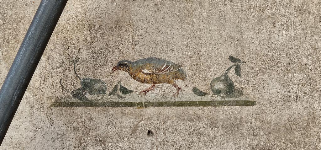 V.7.7 Pompeii. December 2023. Detail of painting of bird with fruit, from east wall. Photo courtesy of Miriam Colomer.