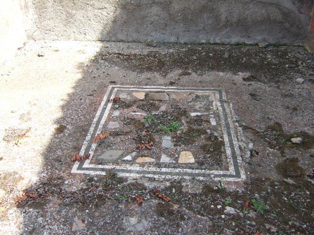 VI.5.21 Pompeii. September 2005. Mosaic from triclinium.