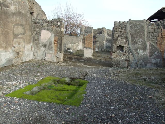 VI.5.5 Pompeii. Dedcember 2007. Impluvium in atrium.  