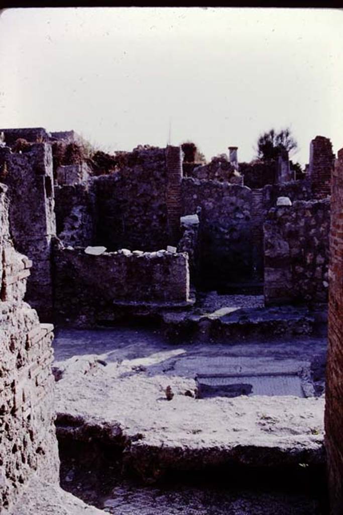 VI.5.19 Pompeii, 1978. Looking west across atrium. Photo by Stanley A. Jashemski.   
Source: The Wilhelmina and Stanley A. Jashemski archive in the University of Maryland Library, Special Collections (See collection page) and made available under the Creative Commons Attribution-Non Commercial License v.4. See Licence and use details. J78f0331

