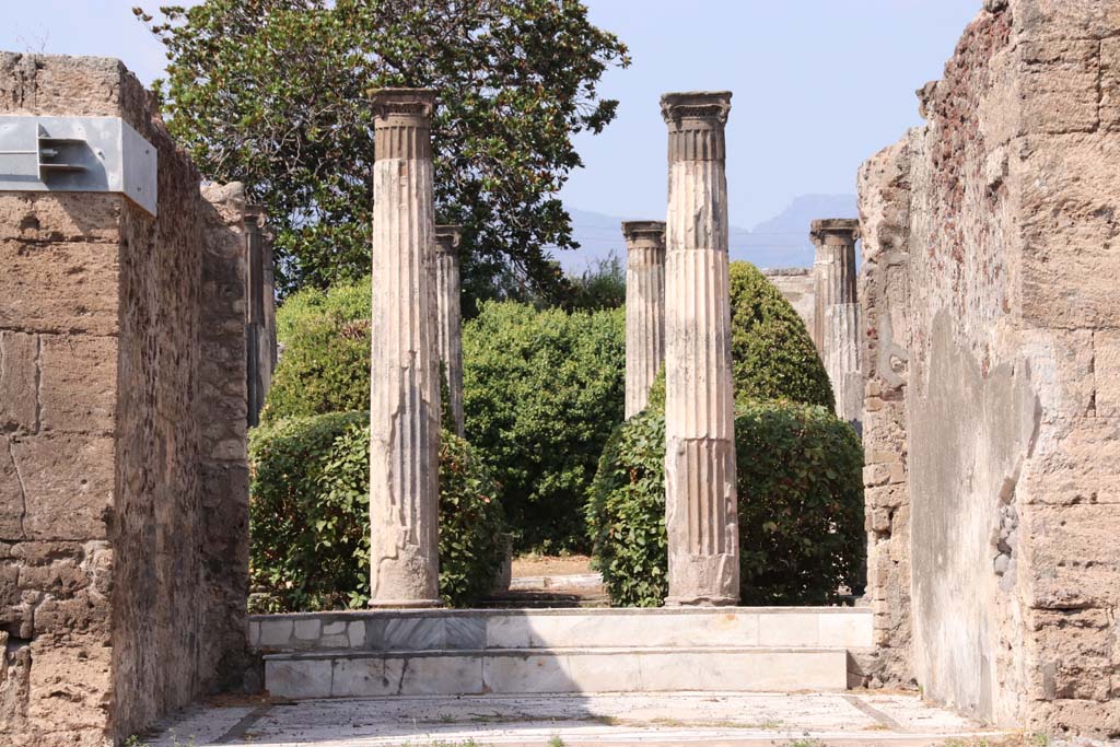 VI.6.1 Pompeii. September 2019. 
Room 6, looking north across tablinum towards steps and columns in peristyle garden.
Photo courtesy of Klaus Heese. 
