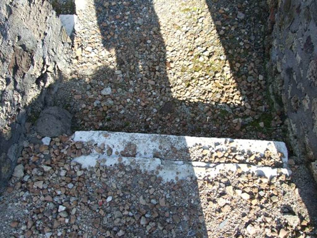 VI.7.3 Pompeii.  March 2009.   Marble step at entrance.