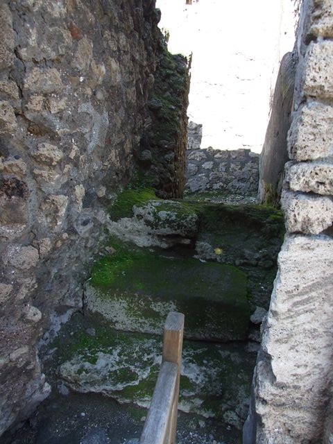 VI.7.9 Pompeii. October 2022. 
Steps to upper floor in north wall of entrance corridor. Photo courtesy of Klaus Heese.
