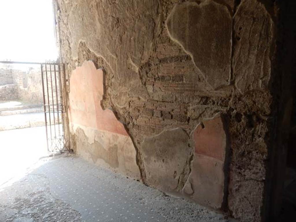 VI.8.23 Pompeii. May 2017. Painted plaster remaining on south wall of entrance corridor, looking east. Photo courtesy of Buzz Ferebee.
