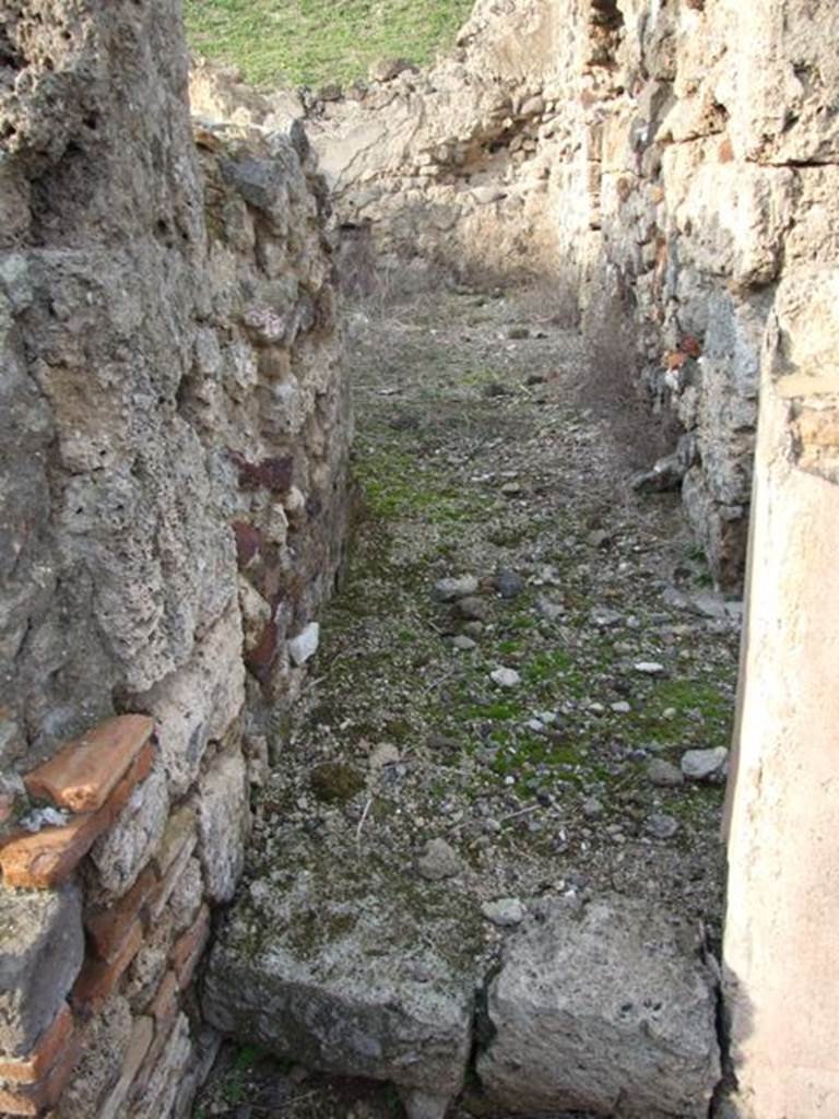 VI.9.14 Pompeii. December 2007. Looking north along entrance corridor to large room 31, an oecus in north-west corner.
