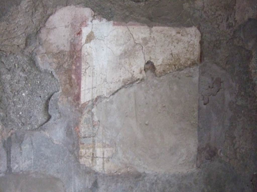 VI.10.1 Pompeii. March 2009. Remains of fresco on south wall of rear room on north side.