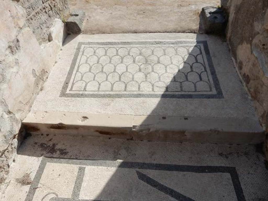VI.10.7 Pompeii. May 2017. Room 1, step up from vestibule with black anchor mosaic.
Photo courtesy of Buzz Ferebee.


