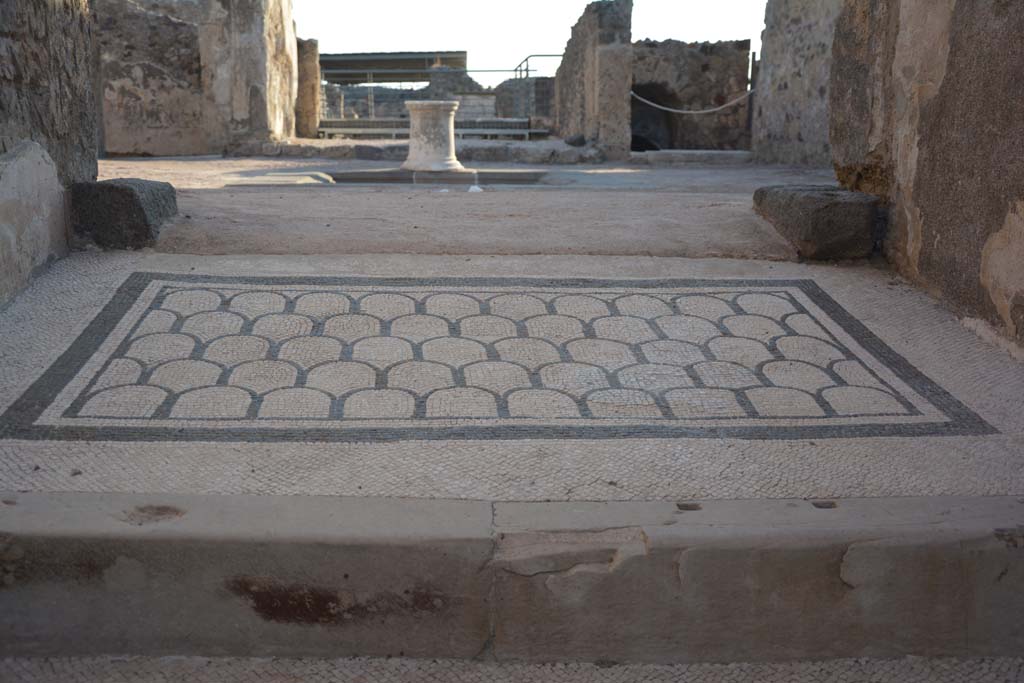 VI.10.7 Pompeii. May 2017. Room 1, looking towards north-east side of atrium from entrance. The large lava stone base for the strongbox has now been lifted, presumably to view the black and white mosaic floor remains below. Photo courtesy of Buzz Ferebee.

