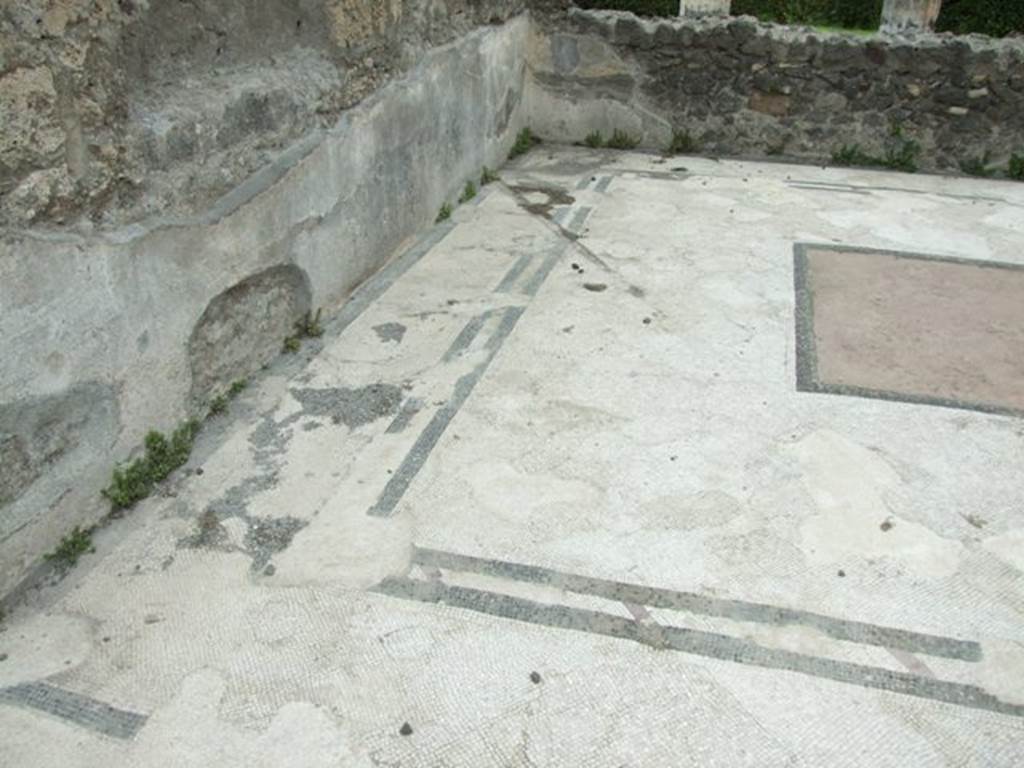 VI.11.10 Pompeii. March 2009. Room 33, west side of mosaic floor in tablinum. 